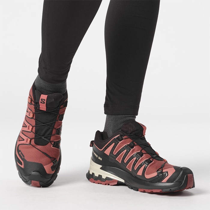 Salomon Pro Gtx Kvinder Damer Hide Blk Rose Vandresko - Vandresko  36 2/3