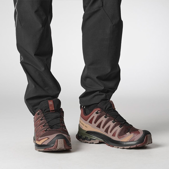 Salomon Pro Gtx Herre Mænd Blk Coffee Raisin Vandresko - Vandresko  42 / UK 8