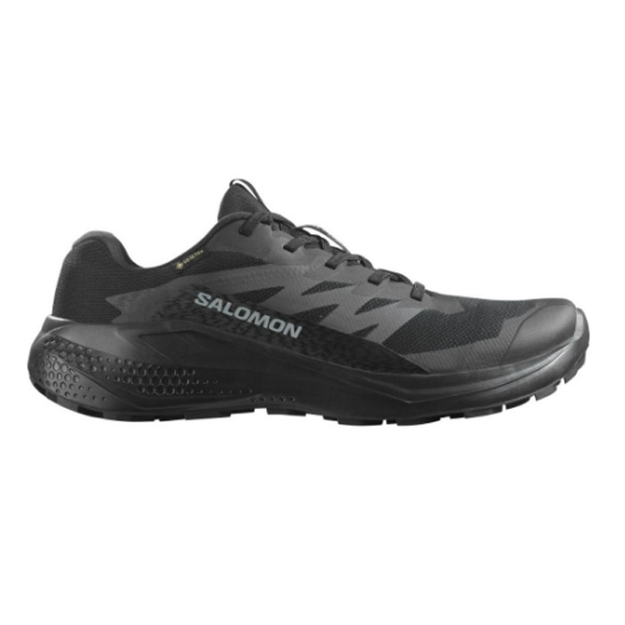 Salomon Alphaglide Gtx Herre Mænd Black Vandresko - Sort  40 / UK 6,5