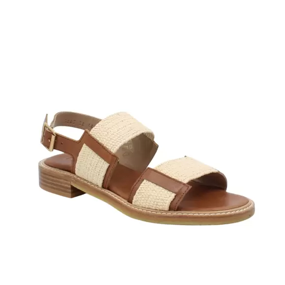 Angulus 5803 101 2902 - TAN Female 38