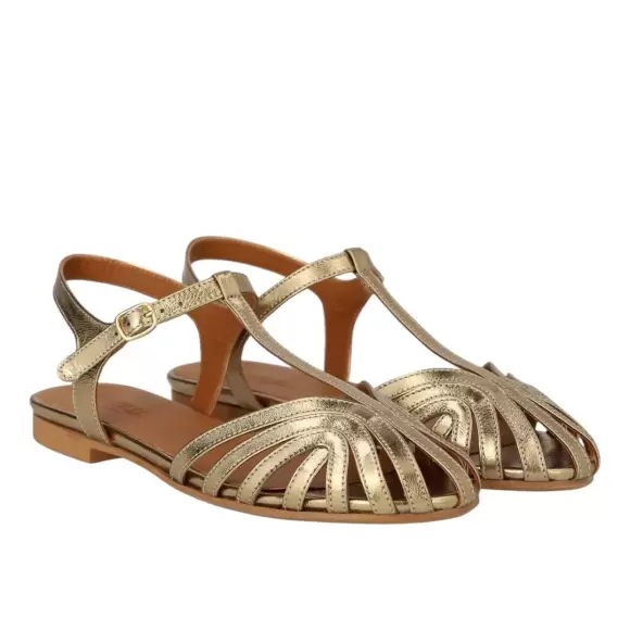 Angulus Remsandal 5841 101 3643 - GOLD Female 40,0