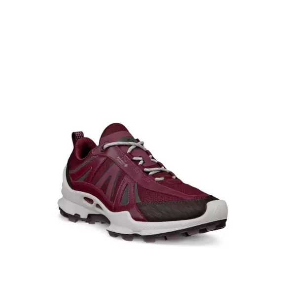 Ecco Biom Trail Inv Gtx 803463 61424 - MOCHA/DARK Female 36