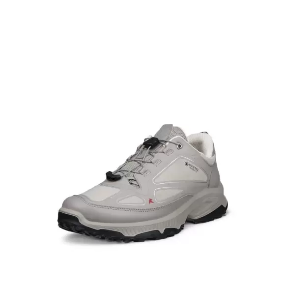 Ecco Receptor Gtx Inv Fit 85434361964 - MOON ROCK/P Female 40