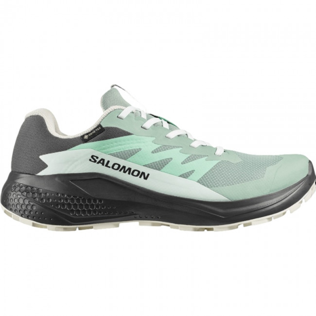 Salomon Alphaglide Gtx Løbesko Dame Grøn Grå - Grøn Female EU38 / UK5 / US