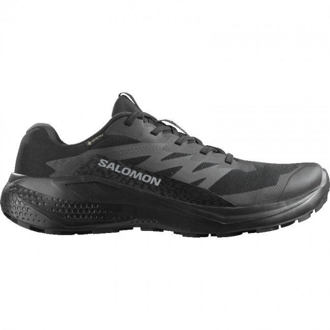 Salomon Alphaglide Gtx Løbesko Herre Sort - Sort Male EU42 2/3 / UK8,
