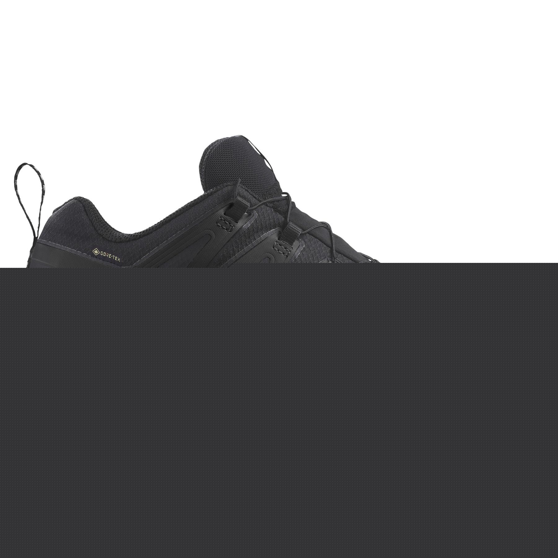 Salomon Pro Gtx Trailsko Herre Sort - Sort Male EU45 1/3 / UK10